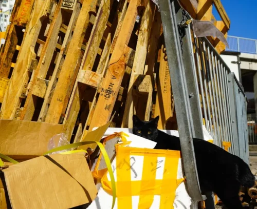 estate cleanout work bottom garfield heights oh